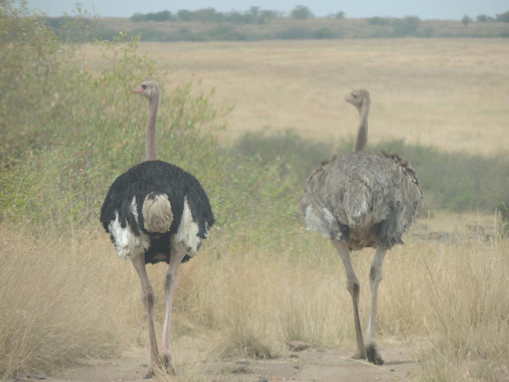 Loyk Mara Luxury Camp Hotel Maasai Mara Bagian luar foto
