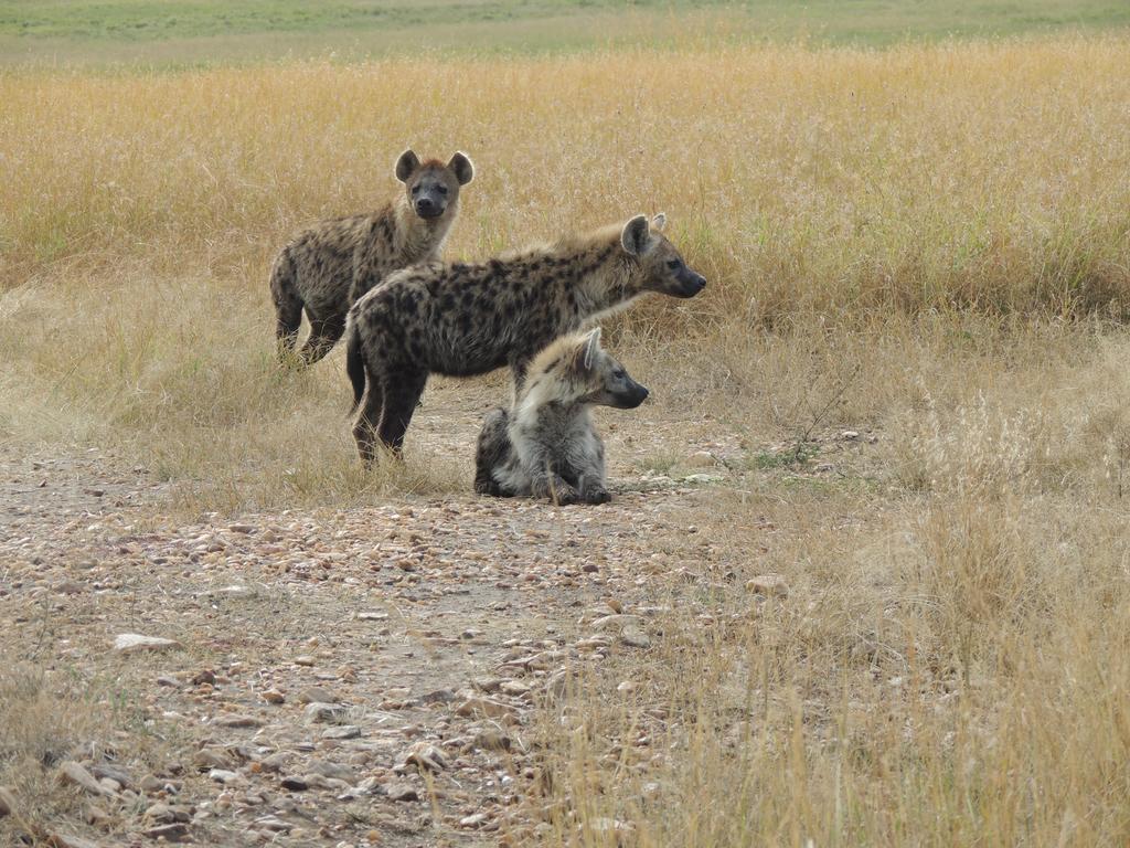 Loyk Mara Luxury Camp Hotel Maasai Mara Bagian luar foto