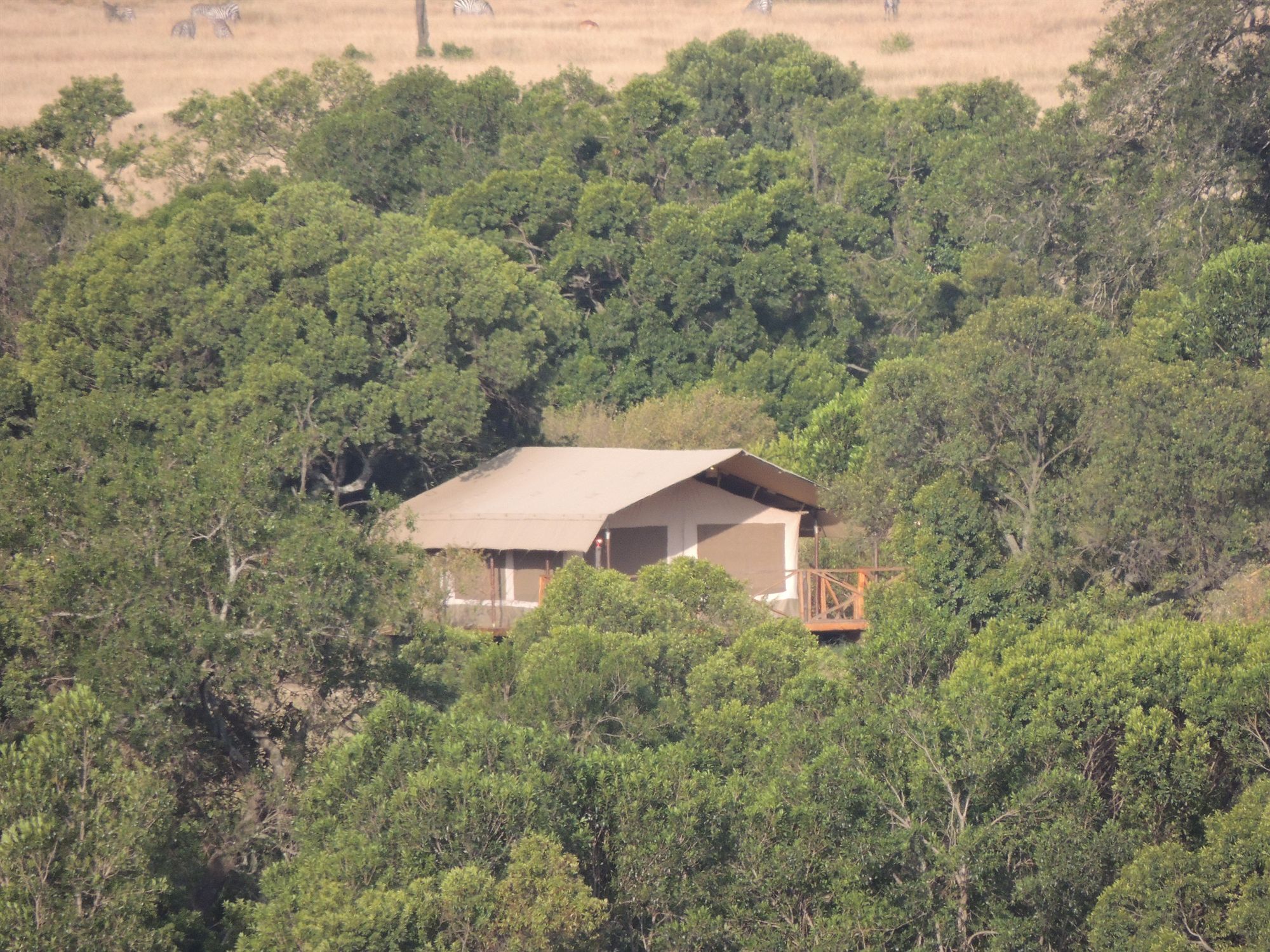 Loyk Mara Luxury Camp Hotel Maasai Mara Bagian luar foto