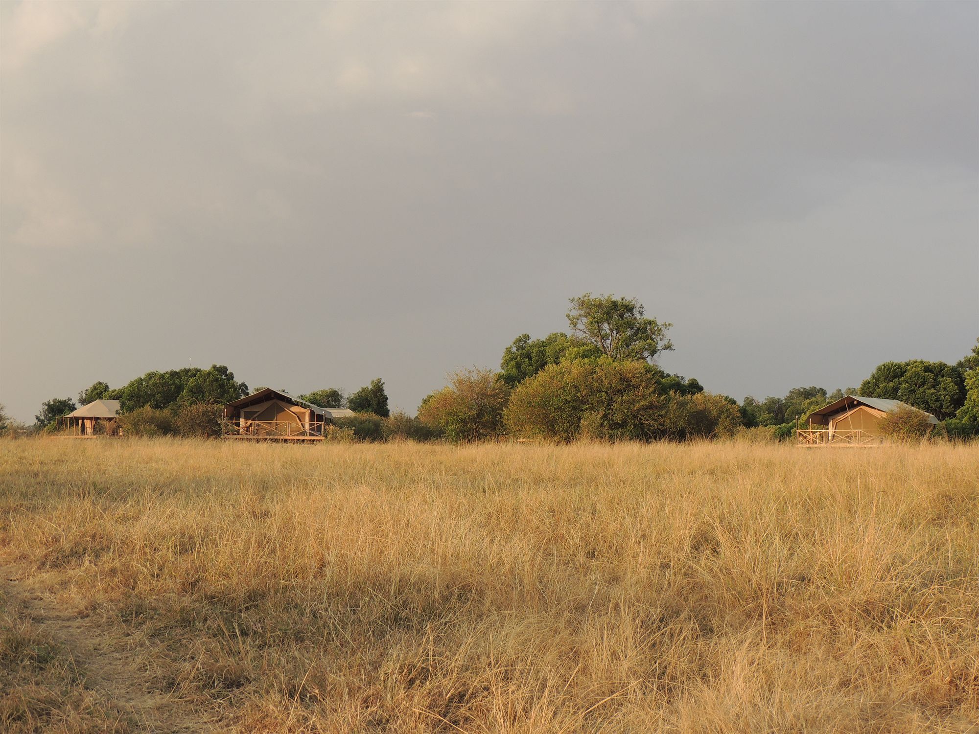 Loyk Mara Luxury Camp Hotel Maasai Mara Bagian luar foto