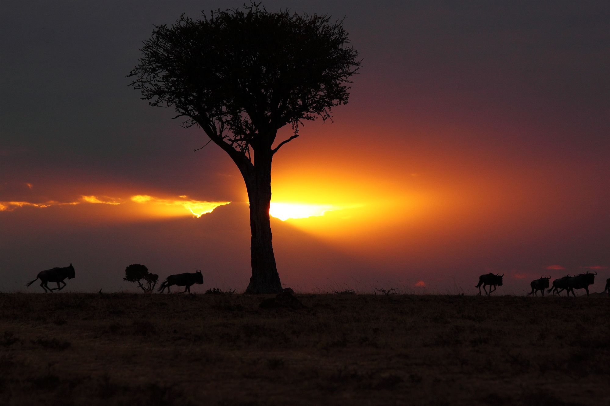 Loyk Mara Luxury Camp Hotel Maasai Mara Bagian luar foto