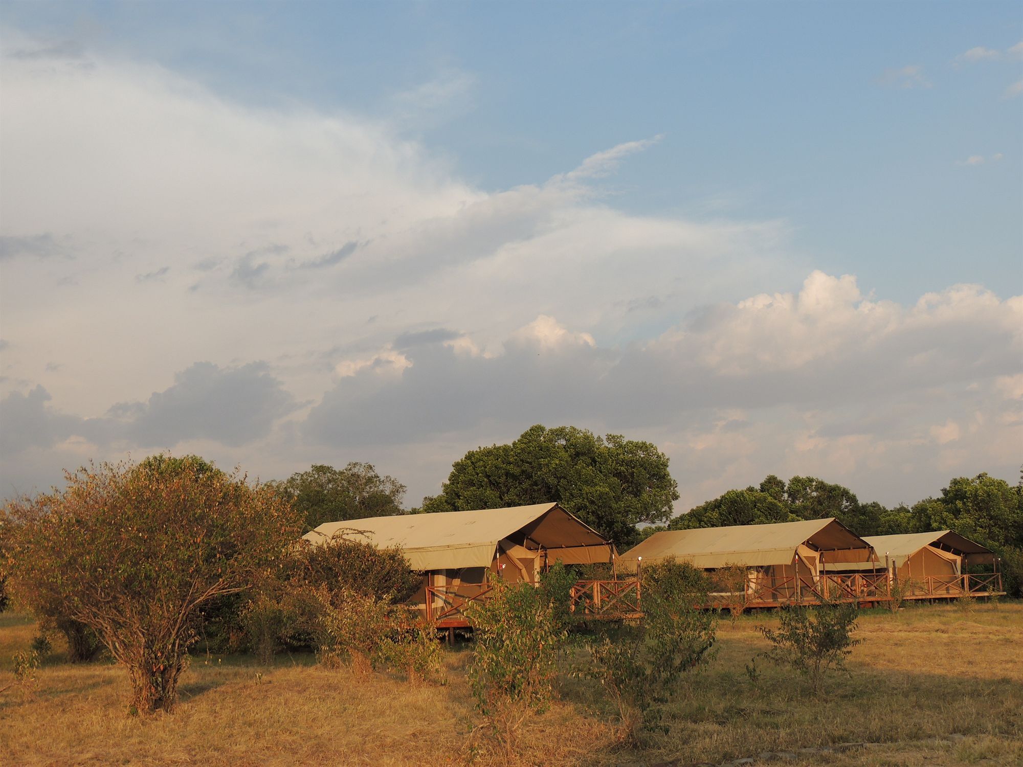Loyk Mara Luxury Camp Hotel Maasai Mara Bagian luar foto
