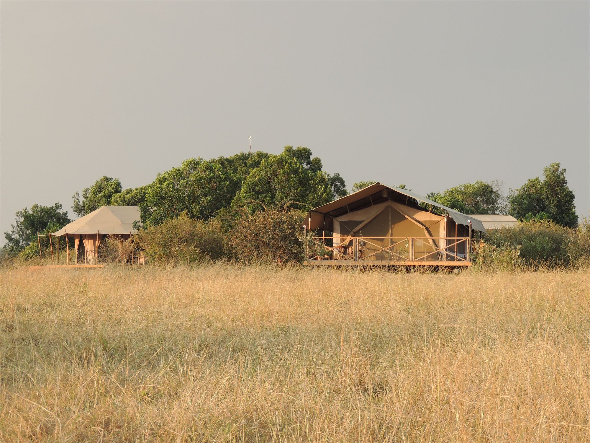Loyk Mara Luxury Camp Hotel Maasai Mara Bagian luar foto