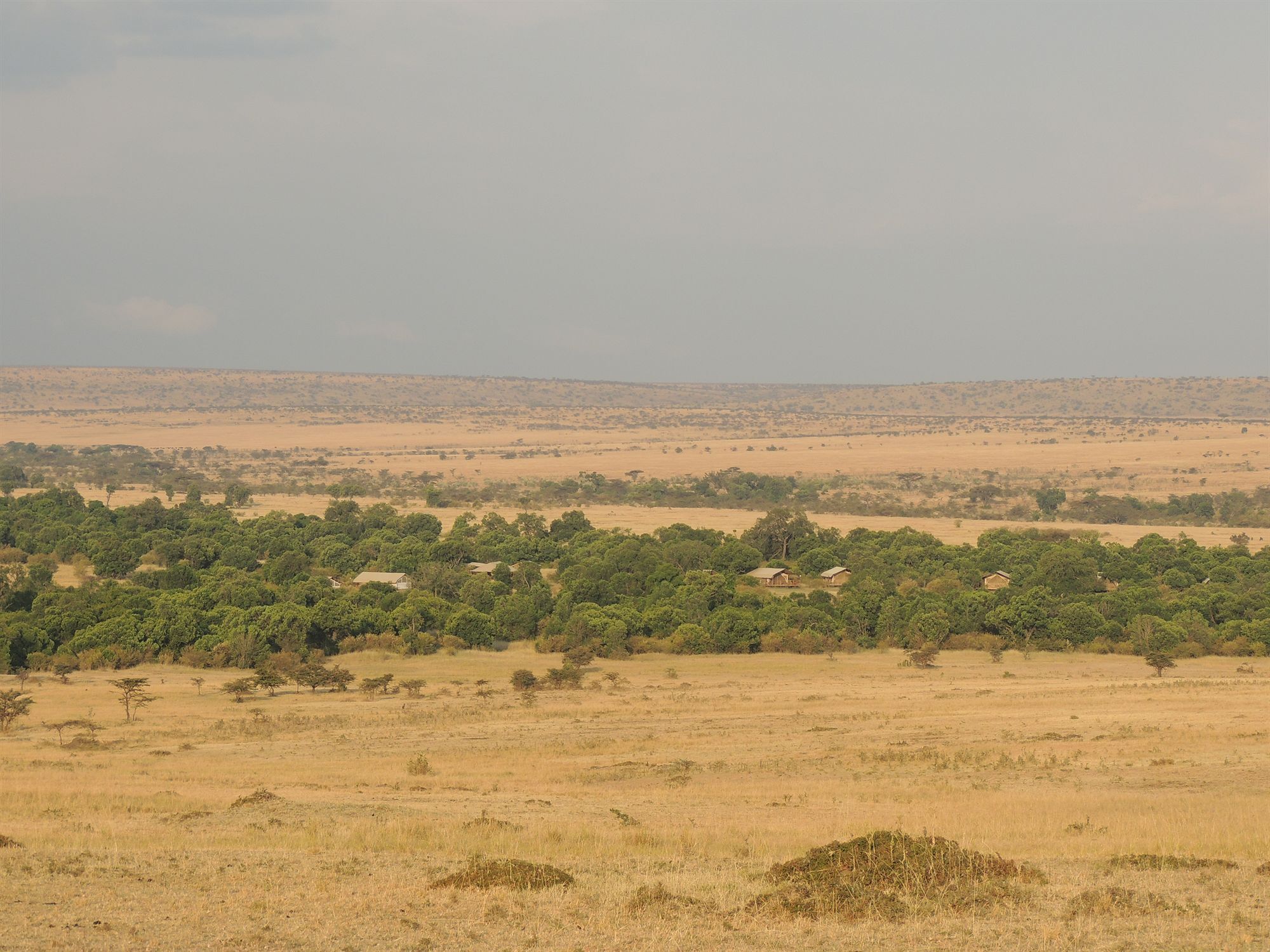 Loyk Mara Luxury Camp Hotel Maasai Mara Bagian luar foto